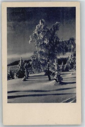 Braunschweig Notopfer, Verschneite Landschaft Ort lt. Stempel AKU1