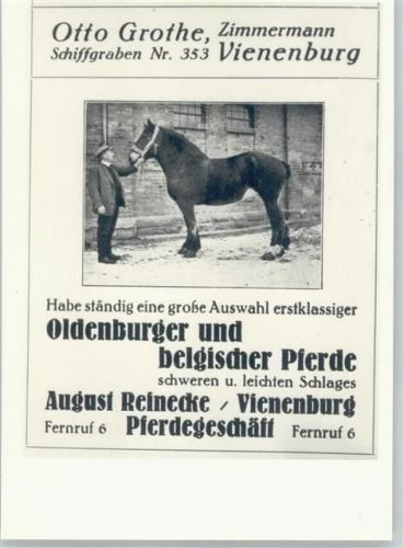 38690 W3387 Vienenburg - August Reinecke Pferdegeschäft, Fotoabzug