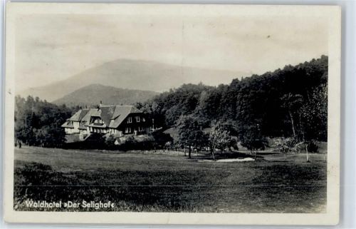 Baden-Baden Waldhotel Der Selighof , Marke entfernt
