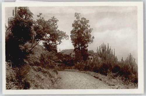 Madeira Monte Mount Pico road