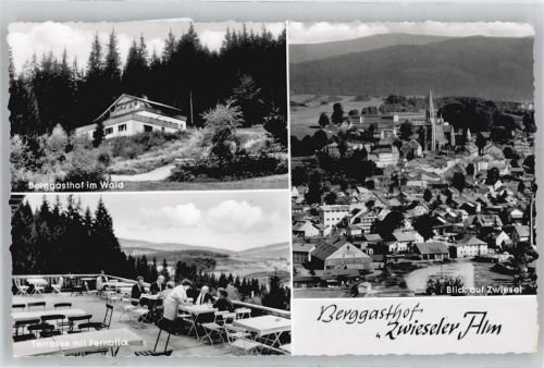 Zwiesel Berggasthof Zwieseler Alm