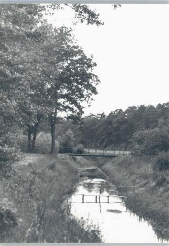 Osterwald O. E. Fotoabzug