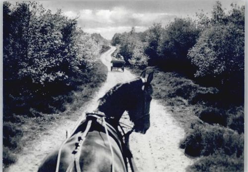 Uelsen Fotoabzug, Kutschfahrt durch die Landschaft
