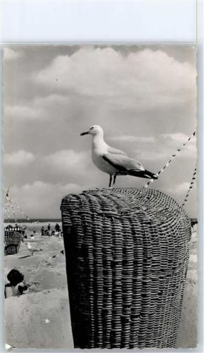 Langeoog Möwe AKU1