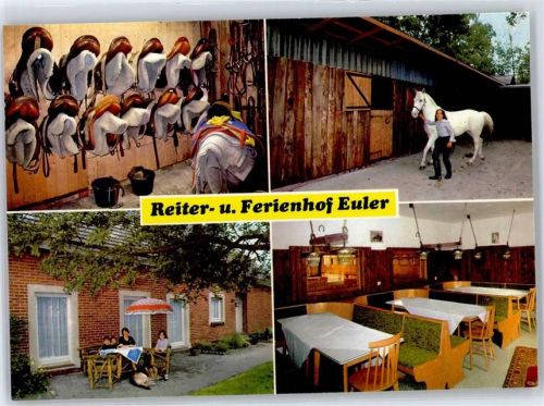 49413 W2843 Wulfenau - Reiter- und Ferienhof Pension Euler, Pferd