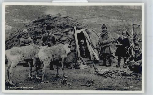 Hammerfest Lappefamilie, Rentier