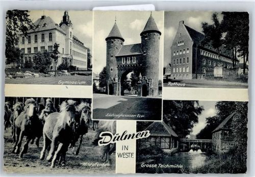 Dülmen Gymnasium , Rathaus