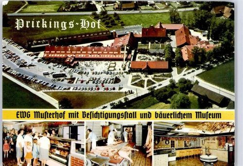 Sythen Fliegeraufnahme, Ortsansicht, Prickingshof, EWG Musterhof