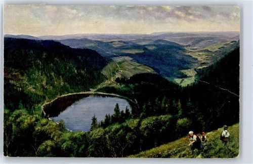 Feldberg Feldsee, Seebuck