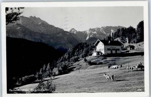 Partenkirchen Partnachalm, Kuh