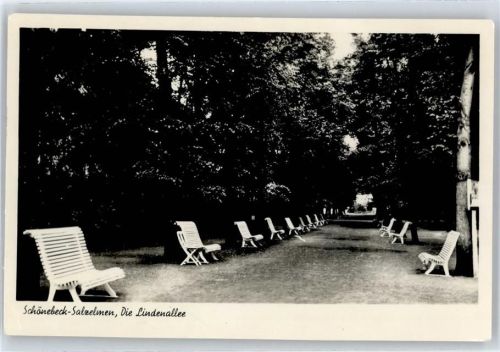 Bad Salzelmen Lindenallee