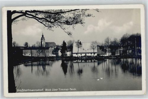 09618 O9203 Großhartmannsdorf - Timmel-Teich
