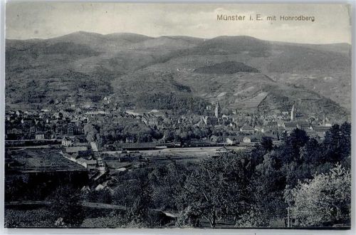Munster Gesamtansicht