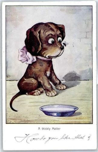 Hund , Humor