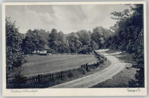 Springe Forsthaus Köllnischfeld
