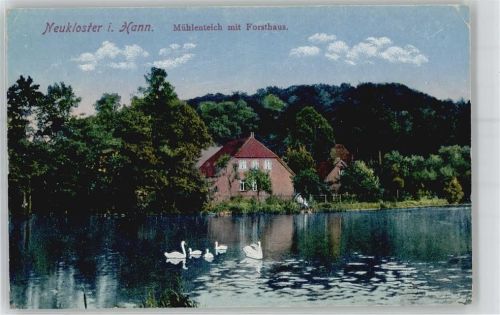 Neukloster Mühlenteich mit Forsthaus