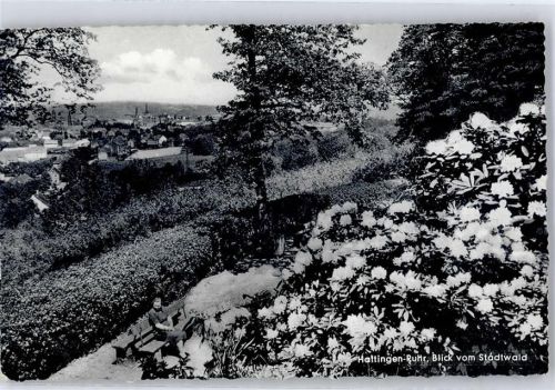 Hattingen Blick vom Stadtwald AKU1