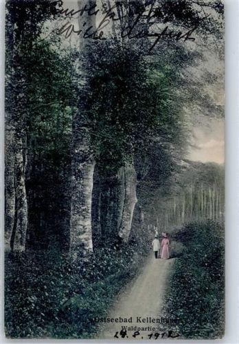 Kellenhusen 1912 Waldpartie AKU1