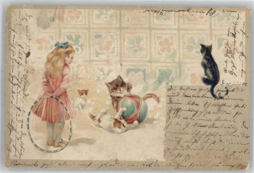 Reif , Ball , Katzen