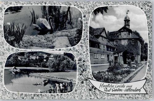 Bad Sooden-Allendorf Schwanenteich AKU1