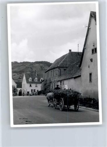 Kutsche, Foto