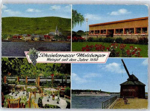 Oestrich-Winkel Gasthaus Molsberger Rheinterrasse Weinstube Kran Schiff