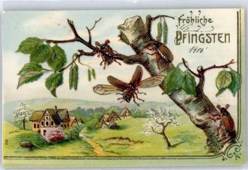 1906 Pfingsten