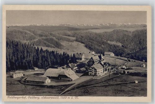 Feldberg Hotel Feldbergerhof