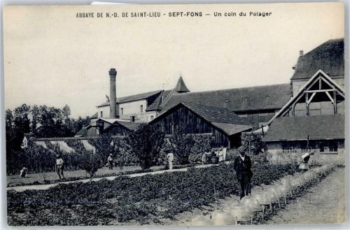 82240 Septfonds - Un coln du Potager