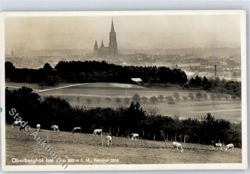 Ulm Oberbergerhof