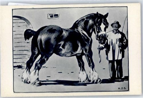 Pferd ,AK - Werbung AKU1