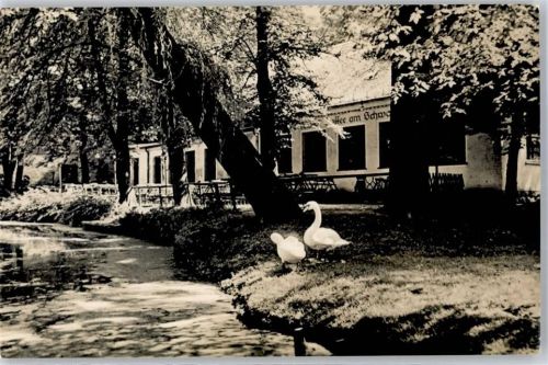 Mittweida Gasthaus Cafe am Schwanenteich