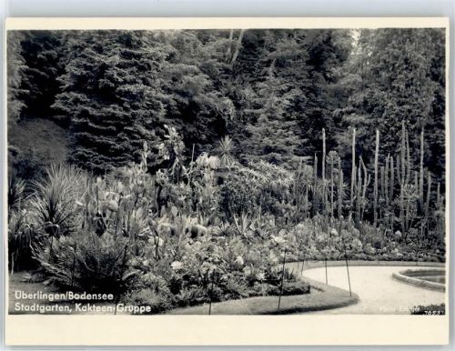 Überlingen Stadtgarten Kakteen-Gruppe AKU1