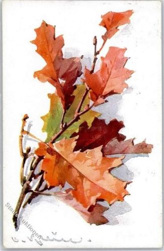 Blätter Blatt