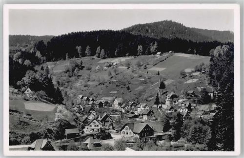 Schönmünzach