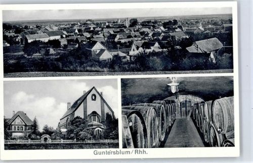 67583 W6524 Guntersblum - Notopfer