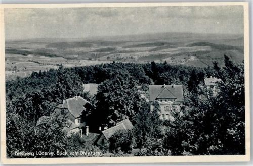 Felsberg Blick vom Ohlyturm