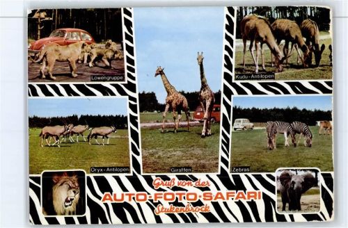 Stukenbrock Senne Grosswild Safari