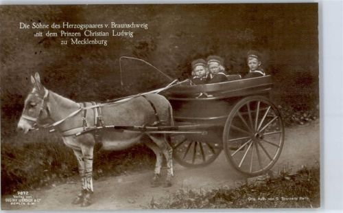 1918 Die Söhne des Herzogspaares mit Prinz Christian Ludwig zu Mecklenburg
