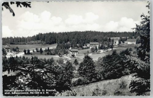 Hierholz