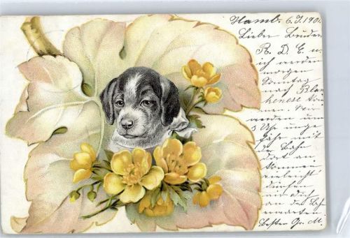 1901 Blumen