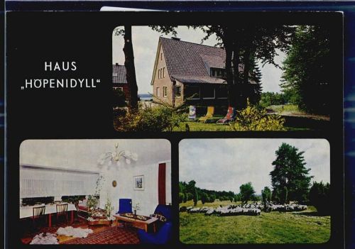 Schneverdingen Pension Haus Höpenidyll