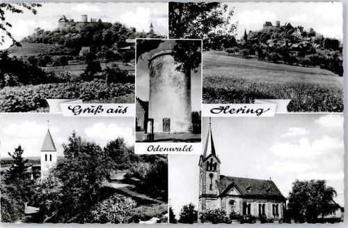 Hering Gruß aus Hering
