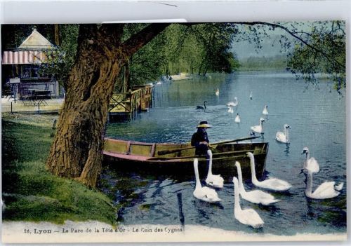 69000 Lyon Lithographie Le Parc de la Tete d Or Le Coin des Cygnes