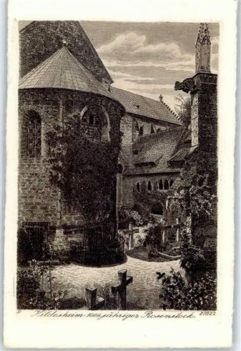 Hildesheim 100-jähriger Rosenstock