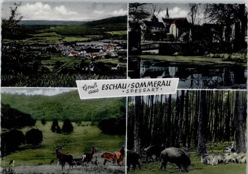 Eschau Sommerau