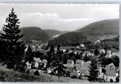 Bad Grund Blick vom Schönhofsblick