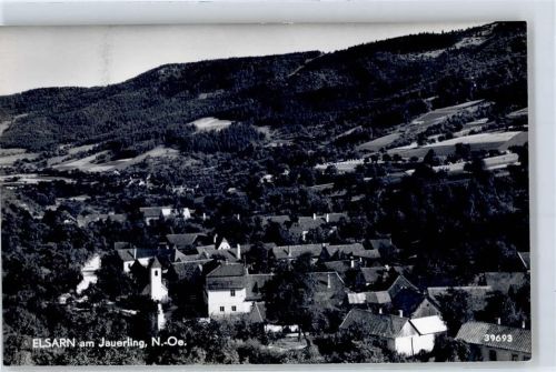 Elsarn