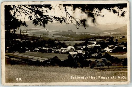 3650 Pöggstall Foto AK Seitendorf