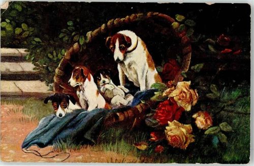 1912 Hund mit Welpen im Korb Rosen
